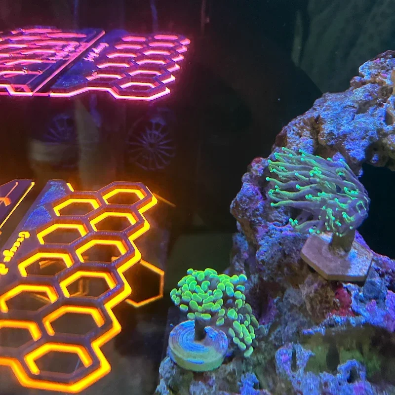 حامل مغناطيسي فلوريسينت لشظايا - مراجعة Coral Frag Plug وسعره