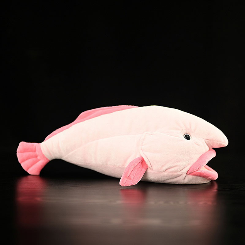محاكاة الحيوان Blobfish البحر  - مراجعة Aquarium And Marine Museum وسعره