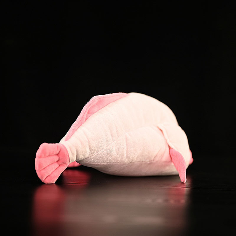 محاكاة الحيوان Blobfish البحر  - مراجعة Aquarium And Marine Museum وسعره