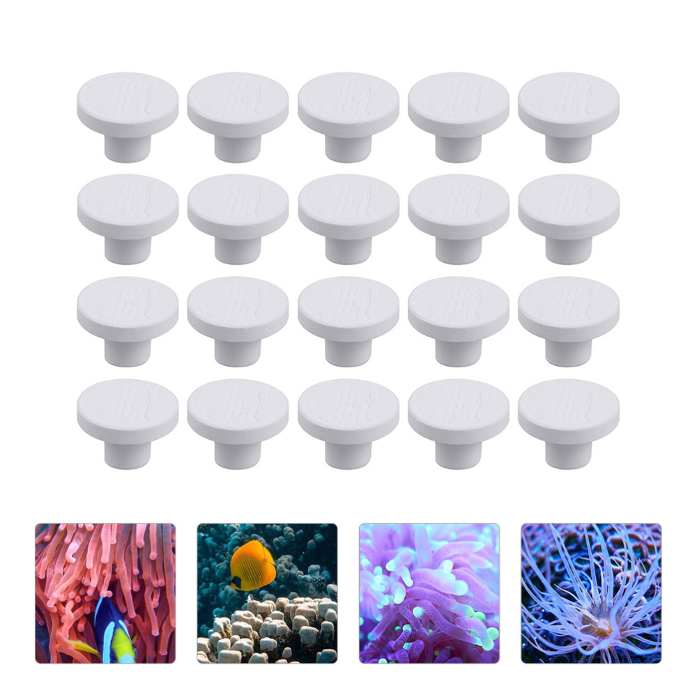 قاعدة سيراميك SPS لزراعة الشعا - مراجعة Coral Frag Plug وسعره