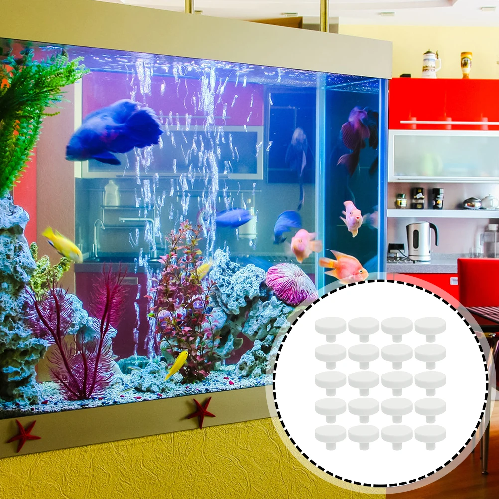 20 قطعة غراء المرجان الشعاب ال - مراجعة Coral Frag Plug وسعره