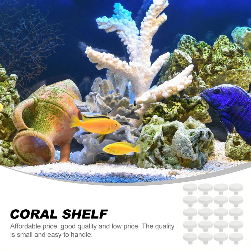 20 قطعة غراء المرجان الشعاب ال - مراجعة Coral Frag Plug وسعره
