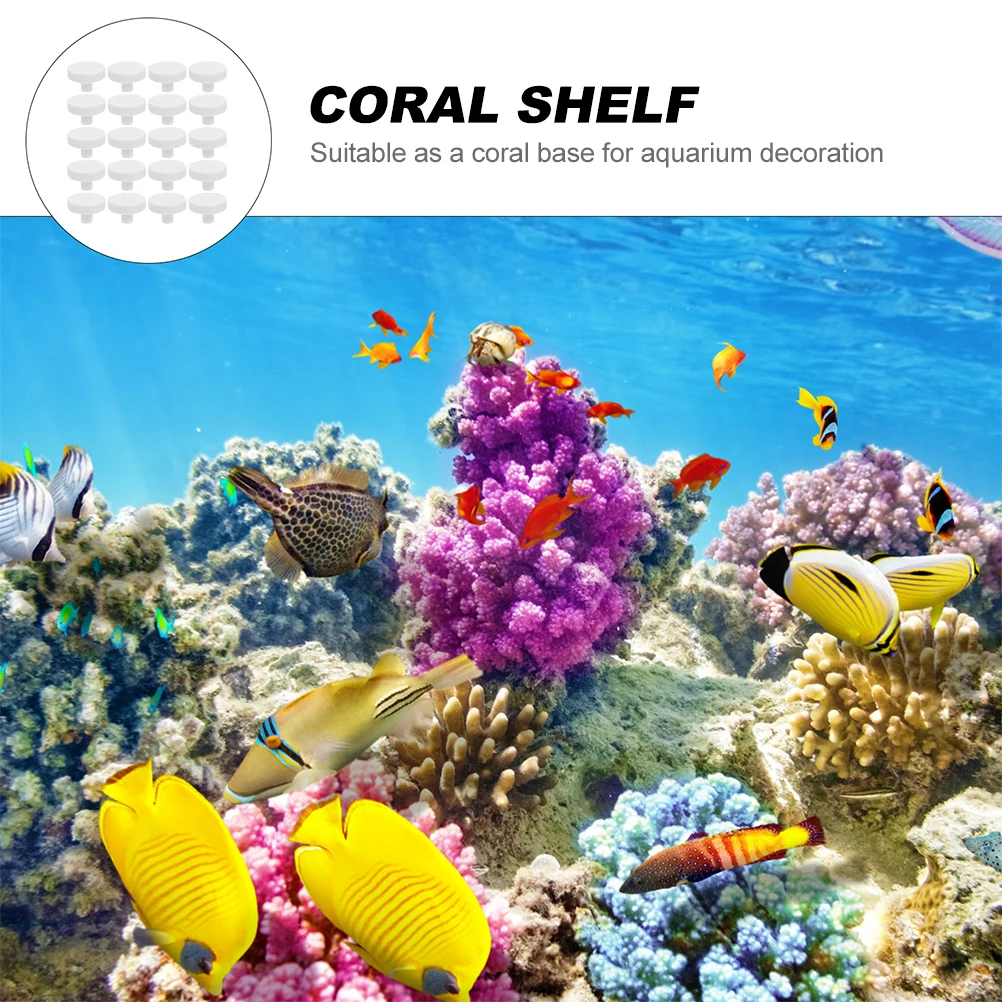 20 قطعة غراء المرجان الشعاب ال - مراجعة Coral Frag Plug وسعره