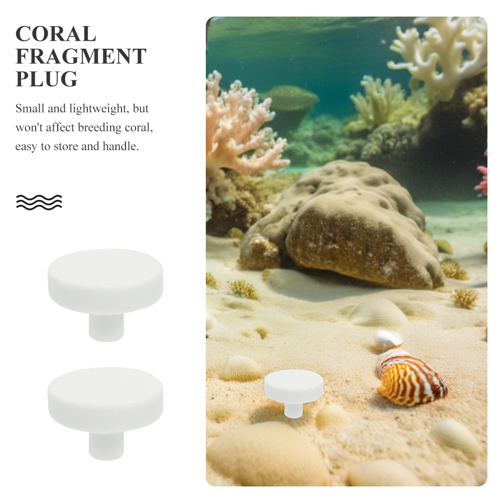 20 قطعة من حوامل المرجان لأحوا - مراجعة Coral Frag Plug وسعره