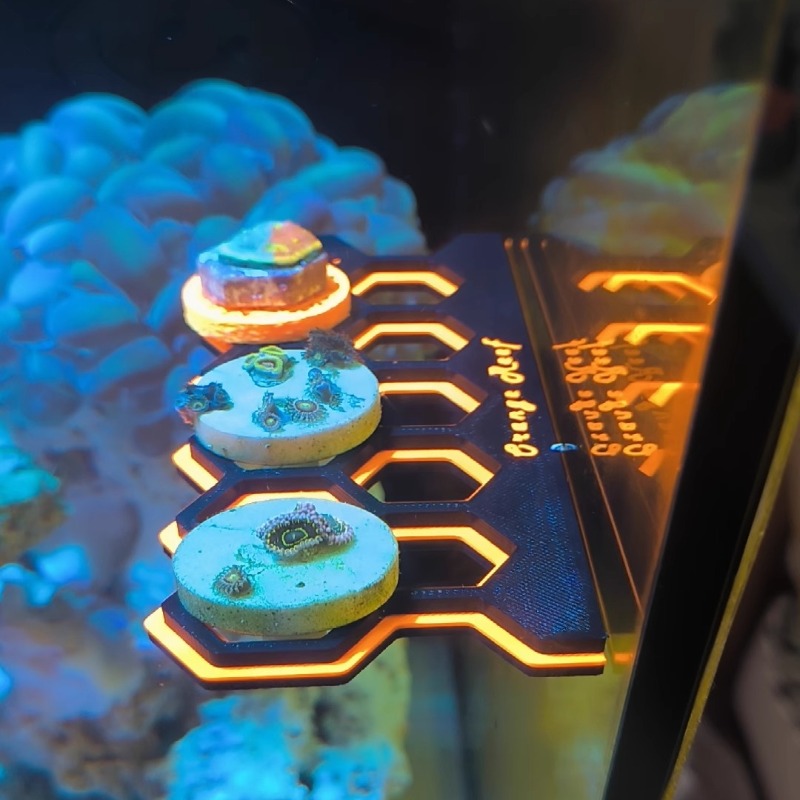 الفلورسنت المغناطيسي المرجان F - مراجعة Coral Frag Plug وسعره